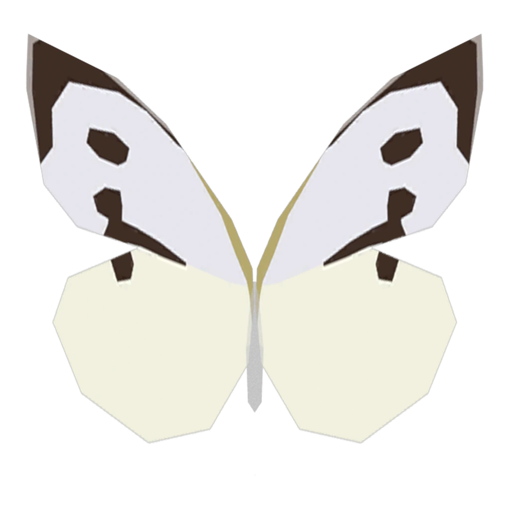 Butterflies White