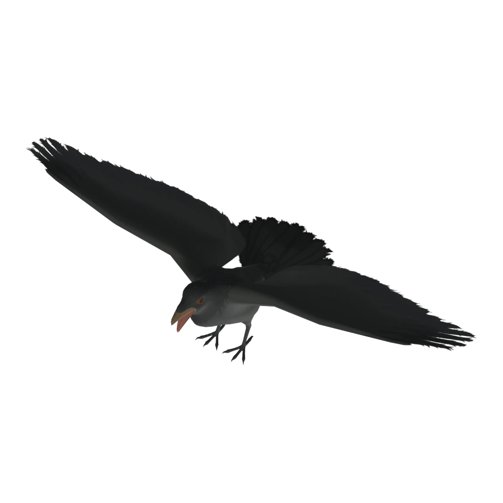Crow