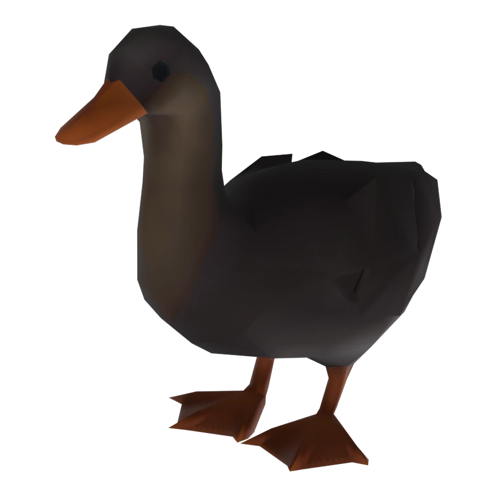 Female Duck