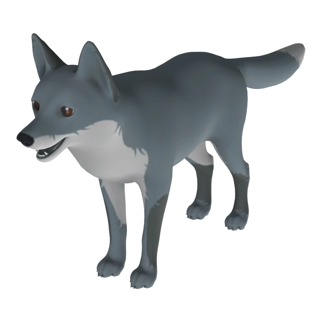 Grey Fox