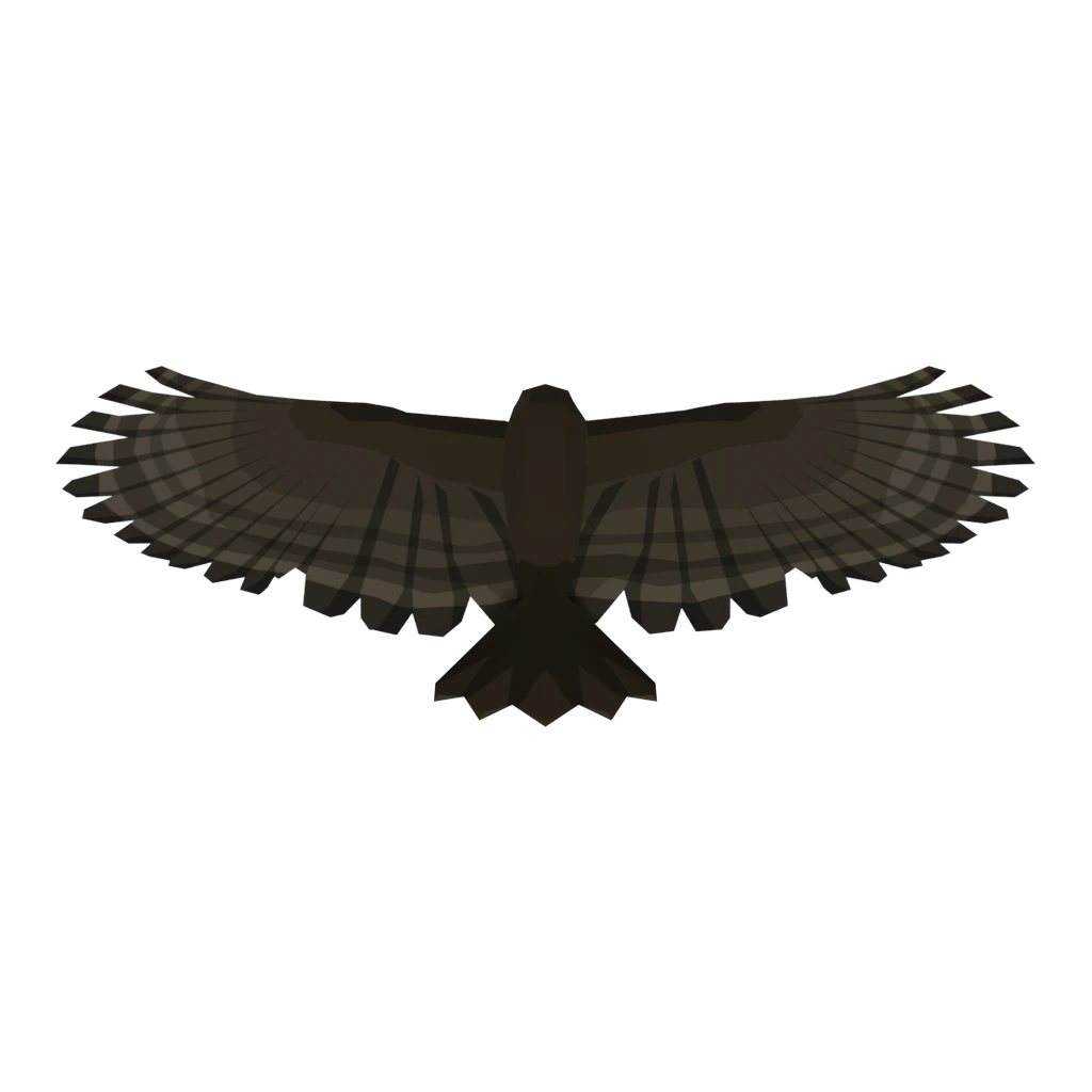 Hawk